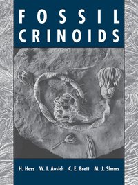 bokomslag Fossil Crinoids