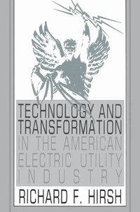 bokomslag Technology and Transformation in the American Electric Utility Industry