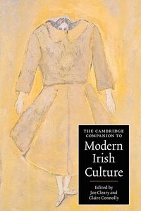 bokomslag The Cambridge Companion to Modern Irish Culture