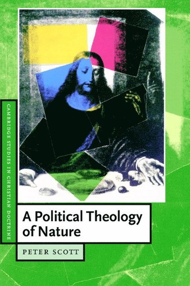 bokomslag A Political Theology of Nature