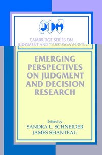 bokomslag Emerging Perspectives on Judgment and Decision Research