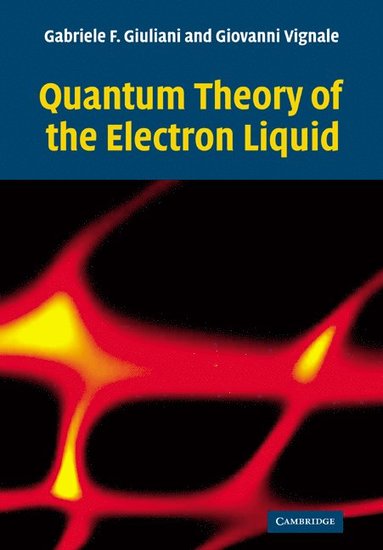 bokomslag Quantum Theory of the Electron Liquid