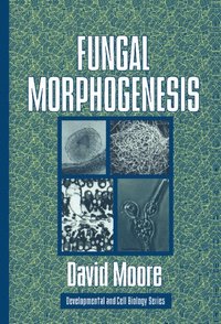 bokomslag Fungal Morphogenesis
