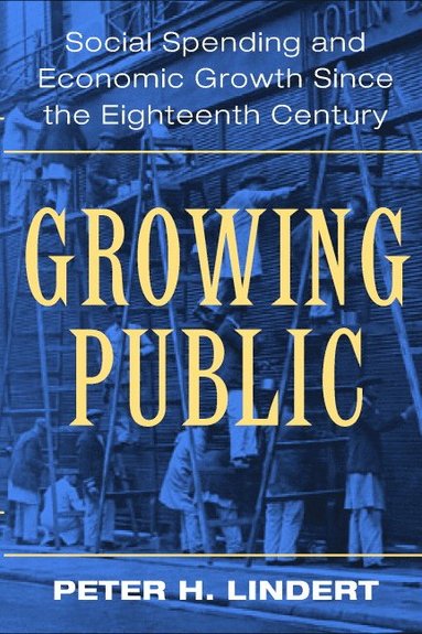bokomslag Growing Public