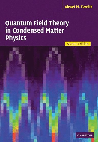 bokomslag Quantum Field Theory in Condensed Matter Physics