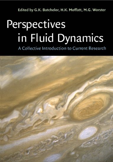 bokomslag Perspectives in Fluid Dynamics