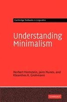 bokomslag Understanding Minimalism