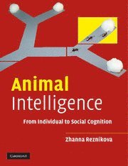 bokomslag Animal Intelligence