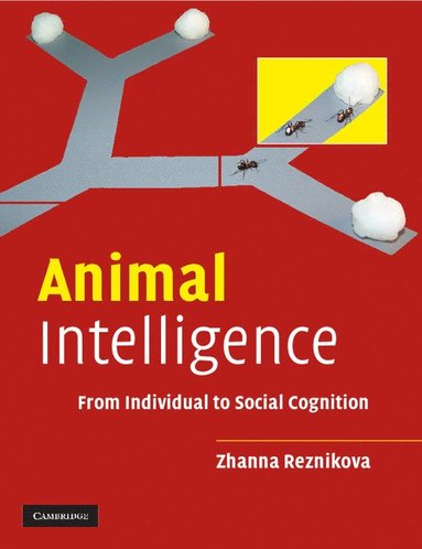 bokomslag Animal Intelligence