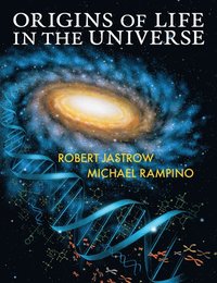 bokomslag Origins of Life in the Universe