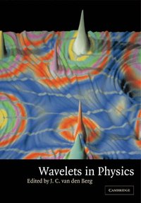 bokomslag Wavelets in Physics