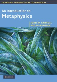 bokomslag An Introduction to Metaphysics