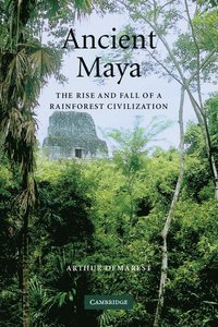 bokomslag Ancient Maya