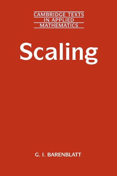 bokomslag Scaling