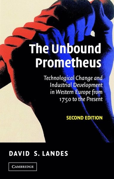 bokomslag The Unbound Prometheus