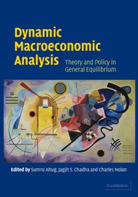 bokomslag Dynamic Macroeconomic Analysis