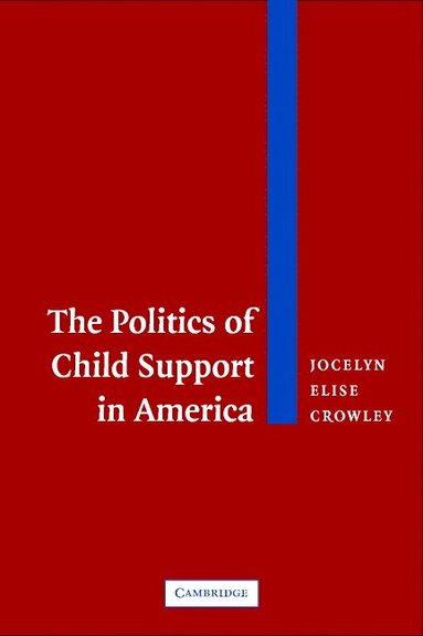 bokomslag The Politics of Child Support in America