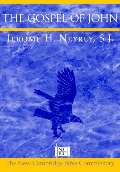 Jerome H. Neyrey - The Gospel of John, Häftad