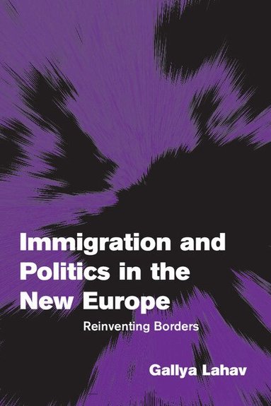 Gallya Lahav, Andreas F Llesdal, F&, Johan P. Olsen - Immigration and Politics in the New Europe, Häftad