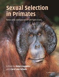 bokomslag Sexual Selection in Primates