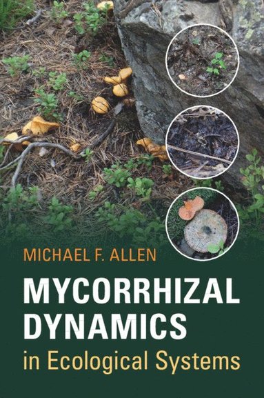 bokomslag Mycorrhizal Dynamics in Ecological Systems