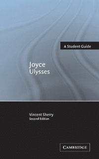 bokomslag Joyce: 'Ulysses'