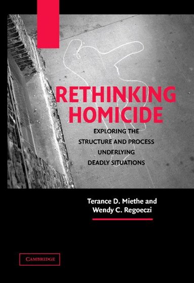 Terance D. Miethe, Wendy C. Regoeczi - Rethinking Homicide, Häftad