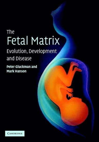 bokomslag The Fetal Matrix: Evolution, Development and Disease