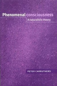 bokomslag Phenomenal Consciousness