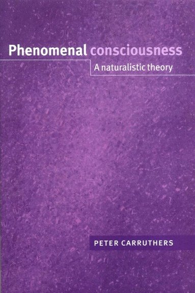 bokomslag Phenomenal Consciousness