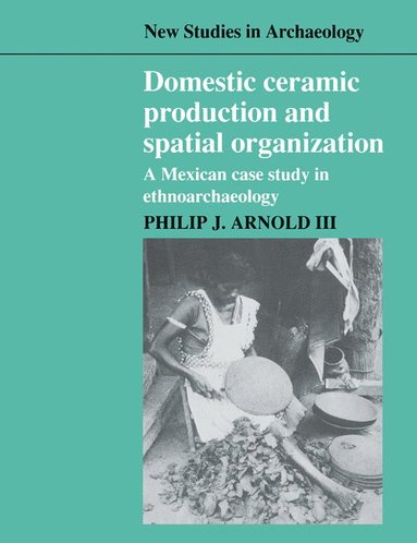 bokomslag Domestic Ceramic Production and Spatial Organization