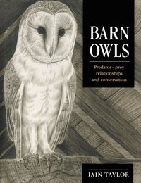 bokomslag Barn Owls
