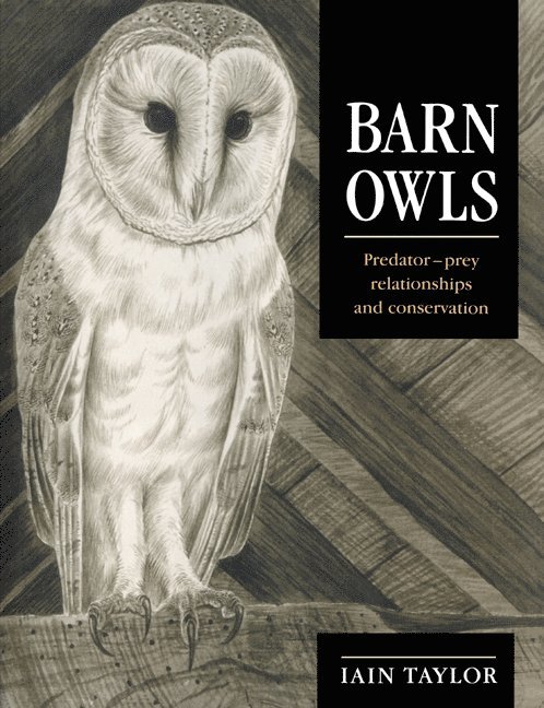 Iain Taylor, Taylor Iain - Barn Owls, Häftad