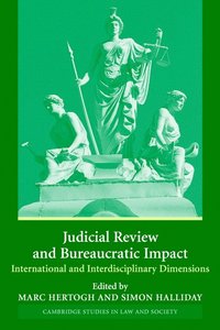 bokomslag Judicial Review and Bureaucratic Impact