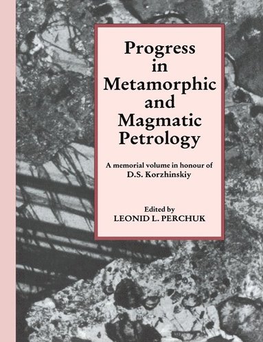 bokomslag Progress in Metamorphic and Magmatic Petrology