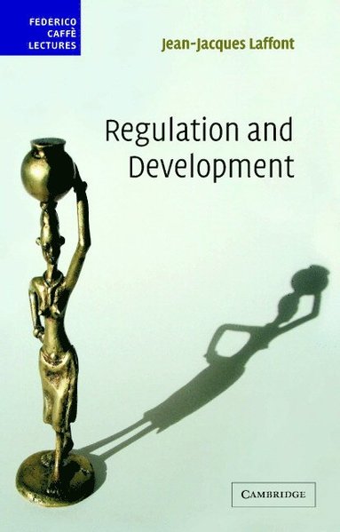 bokomslag Regulation and Development