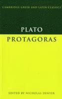 bokomslag Plato: Protagoras