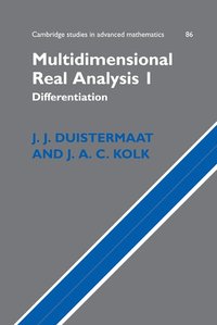 bokomslag Multidimensional Real Analysis I