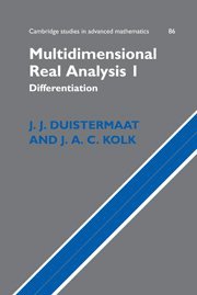 bokomslag Multidimensional Real Analysis I