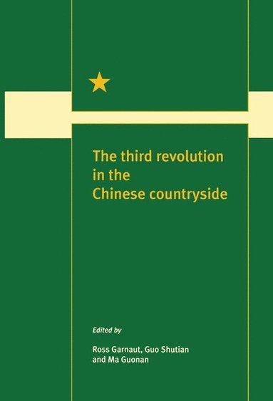 bokomslag The Third Revolution in the Chinese Countryside