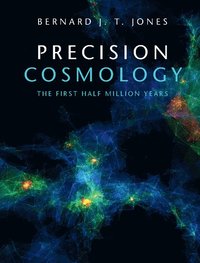 bokomslag Precision Cosmology
