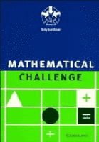 bokomslag Mathematical Challenge