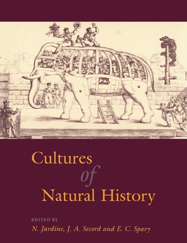bokomslag Cultures of Natural History