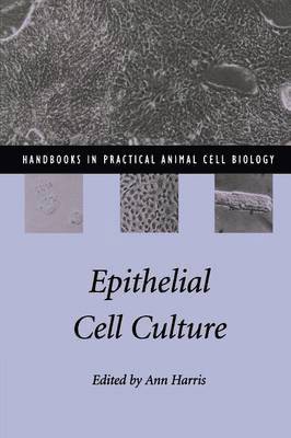 Epithelial Cell Culture 1