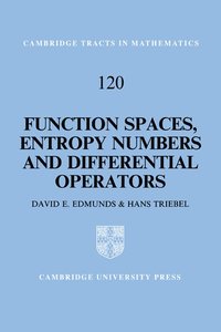 bokomslag Function Spaces, Entropy Numbers, Differential Operators