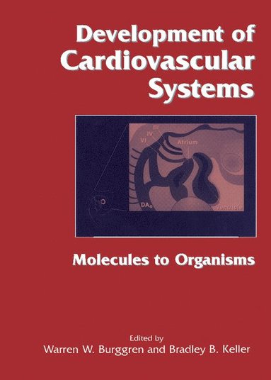 bokomslag Development of Cardiovascular Systems