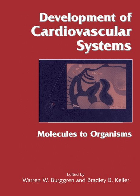 Las Vegas) Burggren, Warren W. (University of Nevada, New York) Keller, Bradley B. (University of Rochester, Warren W. Burggren, Bradley B. Keller - Development of Cardiovascular Systems, Inbunden