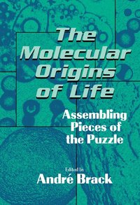 bokomslag The Molecular Origins of Life