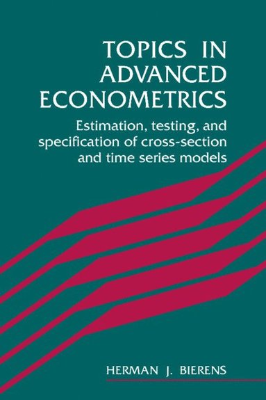 bokomslag Topics in Advanced Econometrics