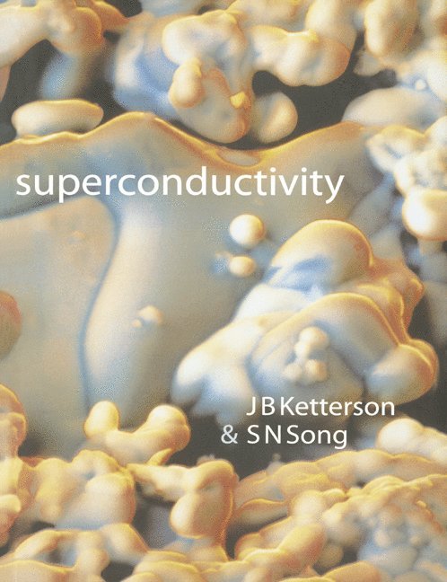 Illinois) Ketterson, J. B. (Northwestern University, Illinois) Song, S. N. (Northwestern University, J. B. Ketterson, S. N. Song, Ketterson J. B. - Superconductivity, Häftad